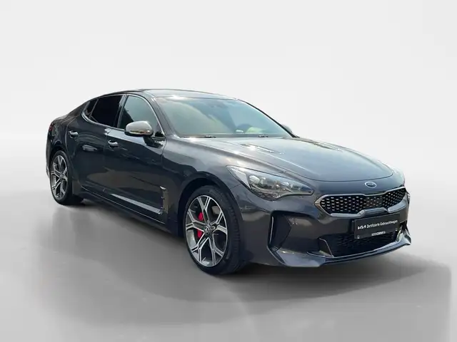 Kia Stinger view 7