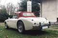 Austin-Healey 100 100/4 BN1L anno 1955 * Restauro Completo * ASI Blanc - thumbnail 4