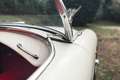 Austin-Healey 100 100/4 BN1L anno 1955 * Restauro Completo * ASI Bianco - thumbnail 15