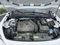 CUPRA Formentor 1.5 TSI 150ch Business Edition DSG7 - thumbnail 17