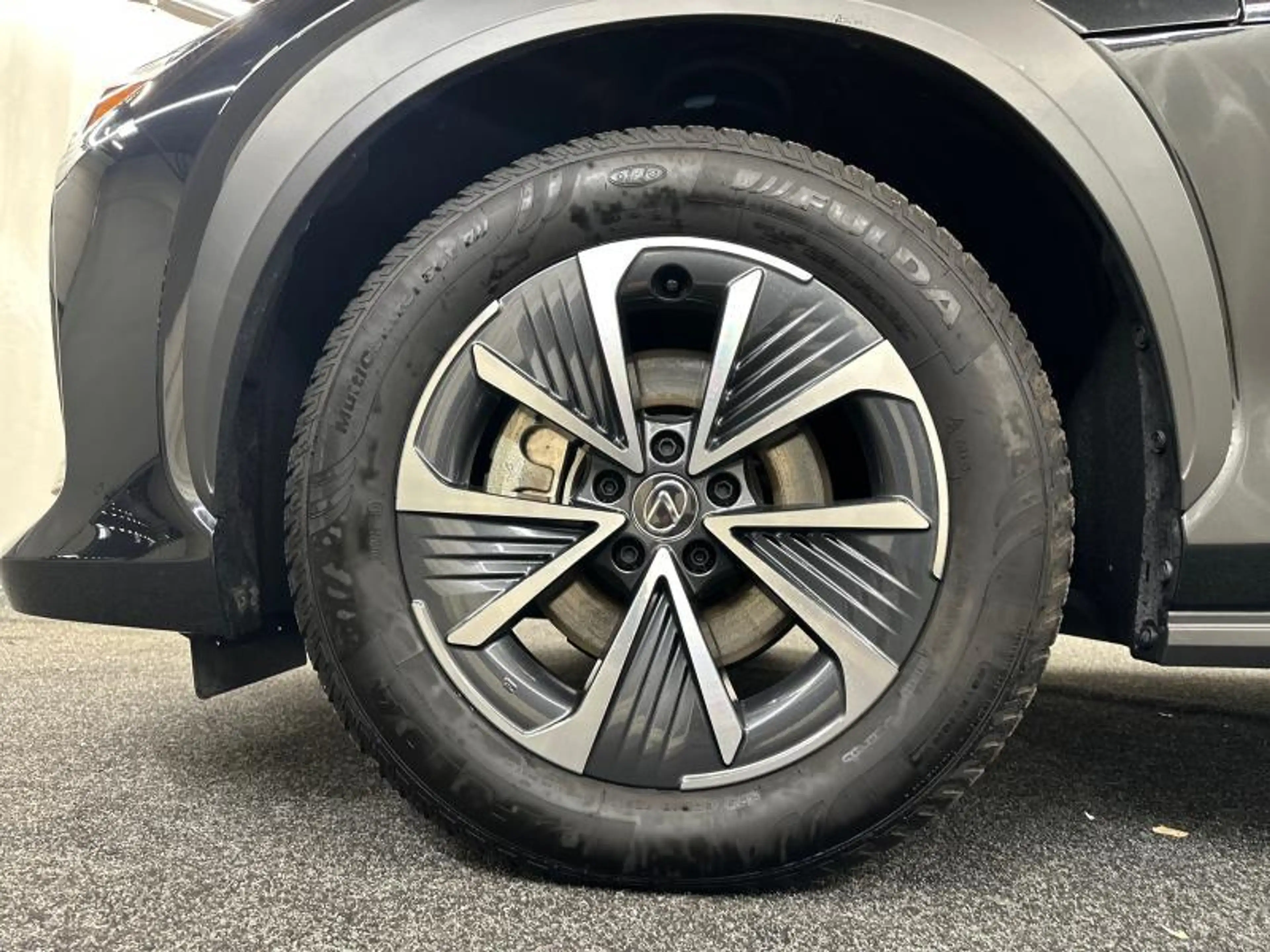 Lexus RZ Executive Line AWD 450e — photo 15