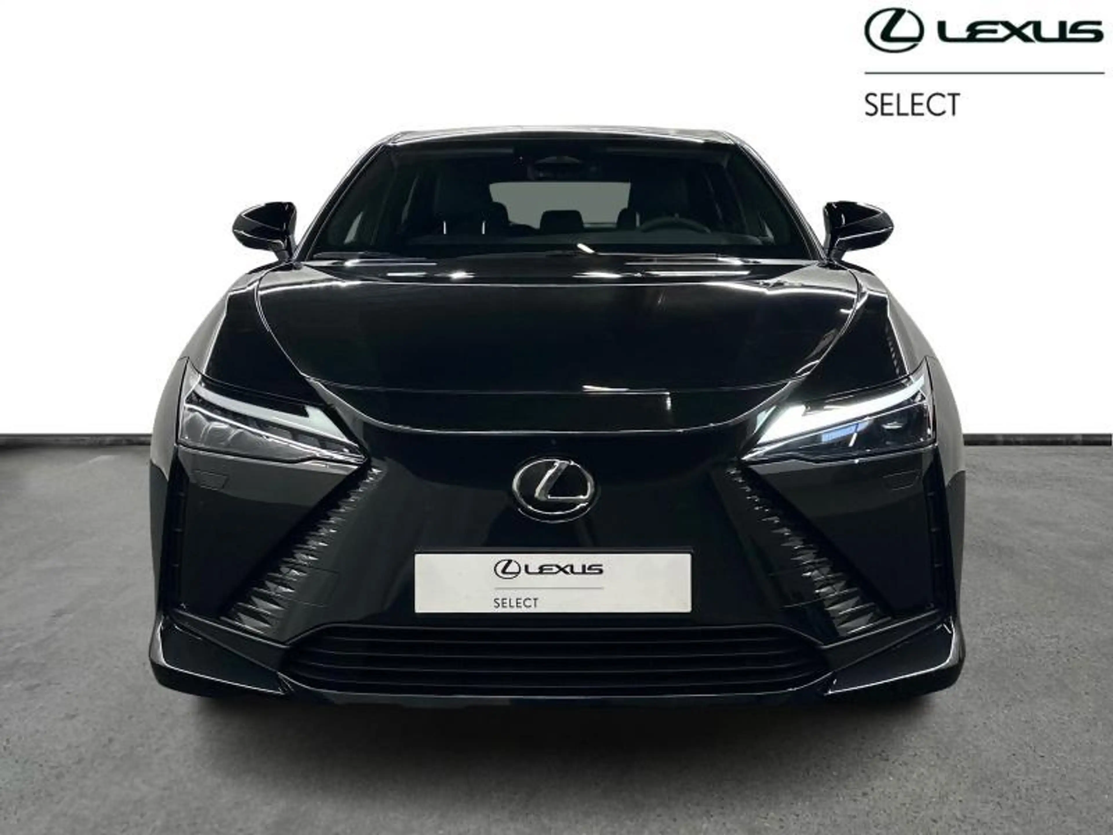 Lexus RZ Executive Line AWD 450e — photo 7
