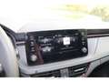 Skoda Kamiq Monte Carlo 1.5 TSI LED Blendfreies Fernl. Sportpa Grau - thumbnail 11