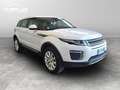 Land Rover Range Rover Evoque 2.0 td4 SE Dynamic 150cv 5p auto Grigio - thumbnail 8