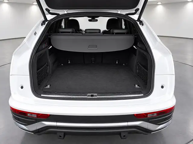 Audi Q5 view 17