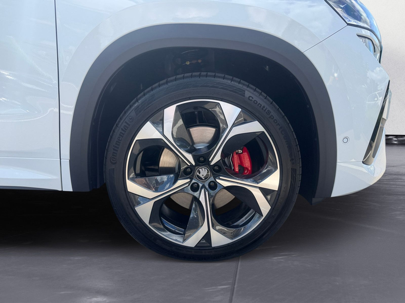 Skoda Kodiaq RS 2,0 TSI 195 kW 7-Gang-DSG 4x4 — photo 12