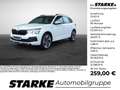 Skoda Kamiq 1.5 TSI DSG Selection Weiß - thumbnail 1
