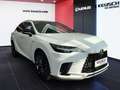 Lexus RX 450h RX SUV F Sport Design 450h+ stufenlose Automatik Weiß - thumbnail 13