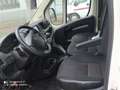 Peugeot Boxer Koffer 435 L4 Cargo Edition MOTORSCHADEN Blanc - thumbnail 7