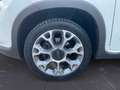 Fiat 500L L 1.4  Trekking Weiß - thumbnail 14