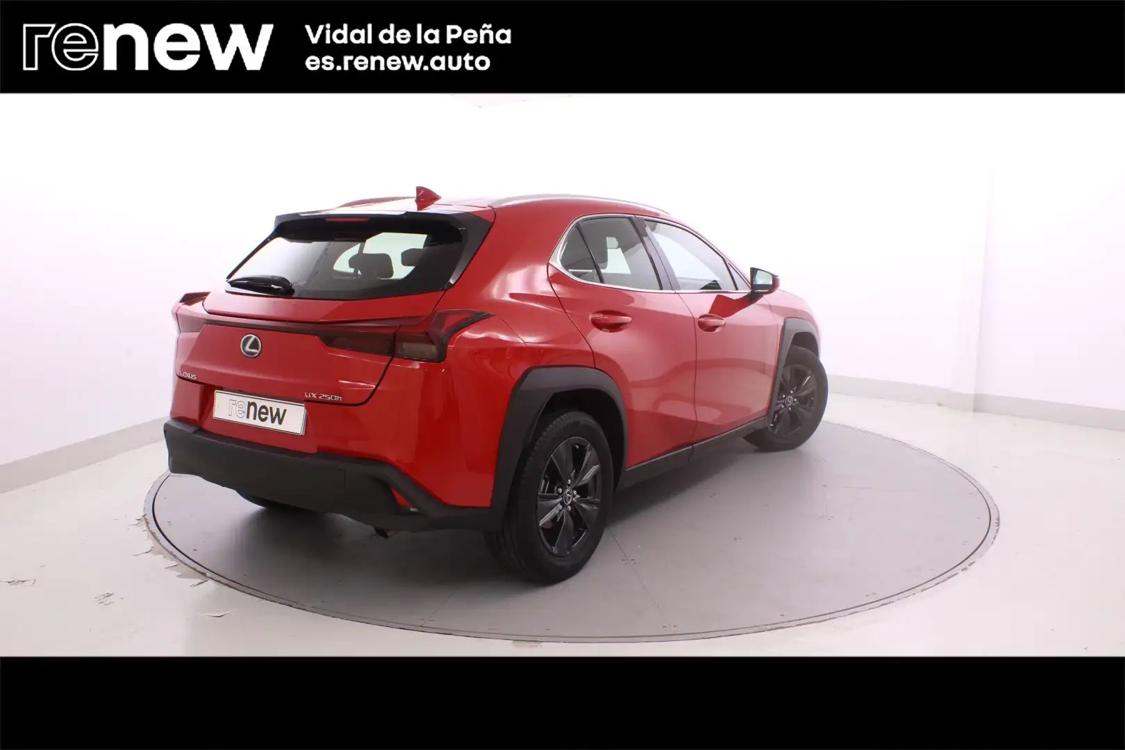 Lexus UX 250h Business 2WD - 2