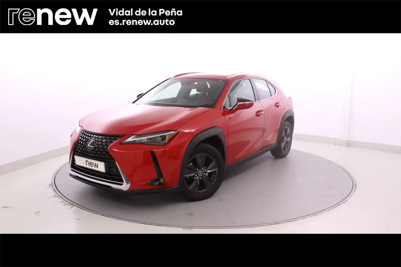 Lexus UX 250h Business 2WD - 1