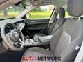 Alfa Romeo Stelvio 2.2 Turbodiesel 160 CV AT8 RWD Business Grey - thumbnail 9