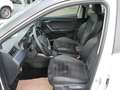 SEAT Arona 1.0 TSI Style KLIMA Alcantara ALU Blanc - thumbnail 10