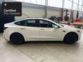 Tesla Model 3 Rear-Wheel Drive “Certified Pre-Owned” Blanco - thumbnail 11