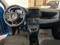 Fiat Panda 1.0 FireFly Hybrid Blu/Azzurro - thumbnail 5