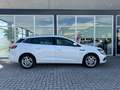 Renault Megane Estate 1.3 TCe Zen|Cruise|Navi|Airco| Weiß - thumbnail 19
