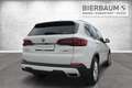 BMW X5 X5 xDrive45e Weiß - thumbnail 31