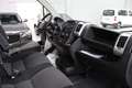 Fiat Ducato 35 2.3 MJT 180CV PLM-Maxi-RIBALTABILE-7 POSTI Bianco - thumbnail 8