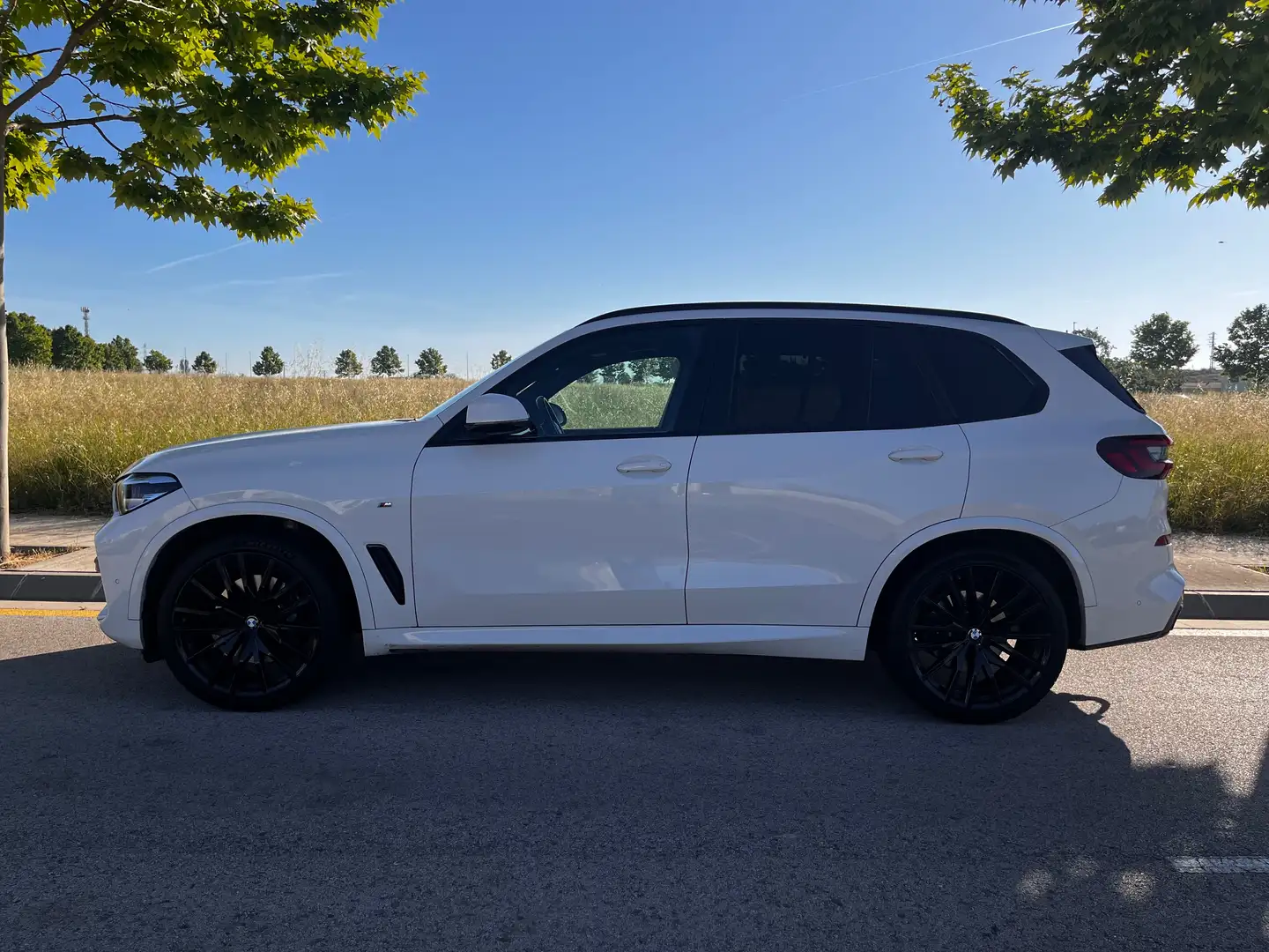BMW X5 X5 xDrive 30dA Blanco - 2