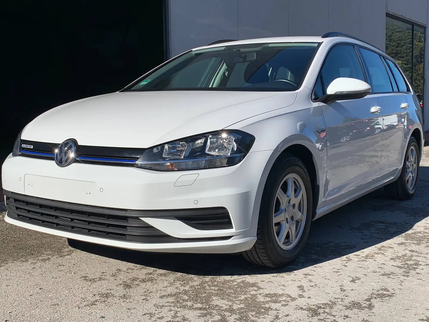 Volkswagen Golf Variant Golf Variant 1.4 tgi Trendline 110cv Bianco - 1