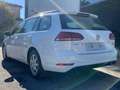 Volkswagen Golf Variant Golf Variant 1.4 tgi Trendline 110cv Blanco - thumbnail 6
