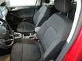 Ford Focus Turnier 1.0 EB MHEV/TITANIUM EDITION/NaviRFK Rood - thumbnail 7