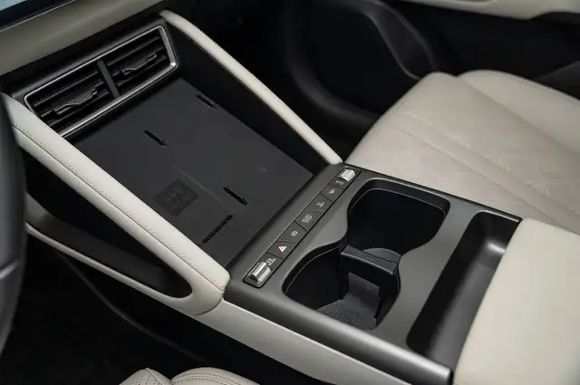 Byd Atto 2 view 11