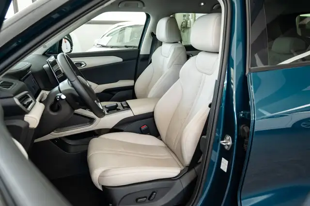 Byd Atto 2 view 7