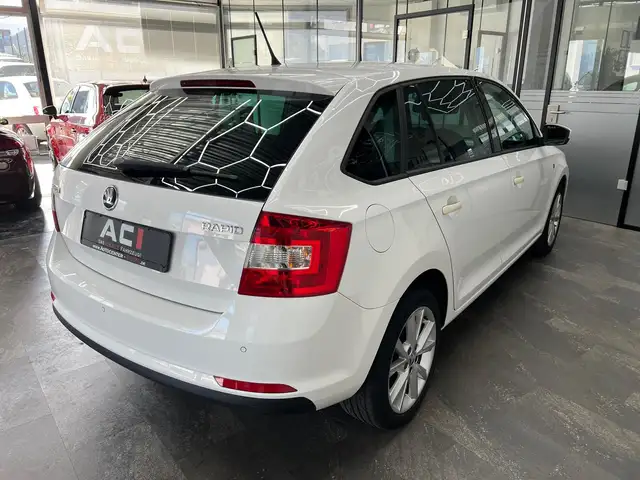 Skoda Rapid view 10