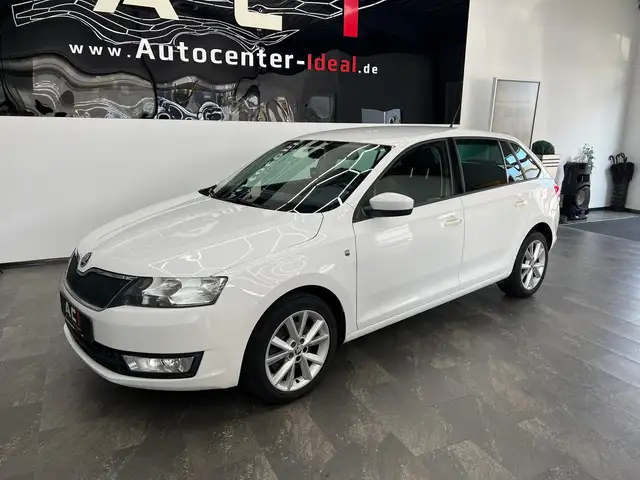 Skoda Rapid view 13