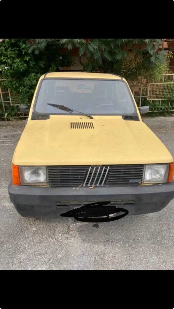 Fiat Panda 1.0 4x4 my86 - 1