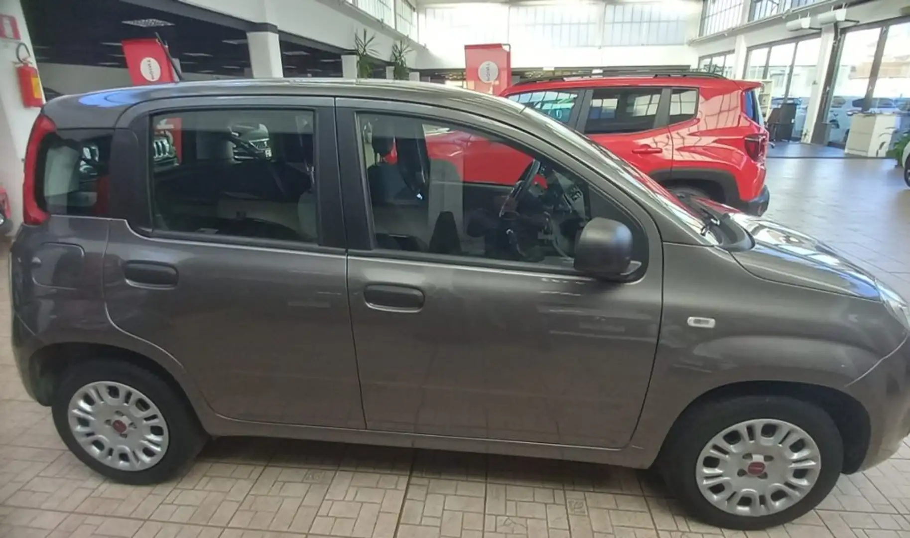 Fiat Panda 1.0 FireFly S&S Hybrid Gris - 2