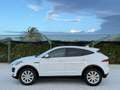 Jaguar E-Pace 2.0D 150 CV AWD Automatica - Tetto Panorama Bianco - thumbnail 4