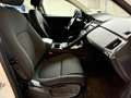 Jaguar E-Pace 2.0D 150 CV AWD Automatica - Tetto Panorama Bianco - thumbnail 20