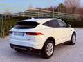 Jaguar E-Pace 2.0D 150 CV AWD Automatica - Tetto Panorama Bianco - thumbnail 7
