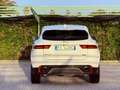 Jaguar E-Pace 2.0D 150 CV AWD Automatica - Tetto Panorama Bianco - thumbnail 5