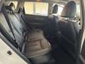 Nissan X-Trail 1.6 dCi Tekna 4x2 XTronic Weiß - thumbnail 13