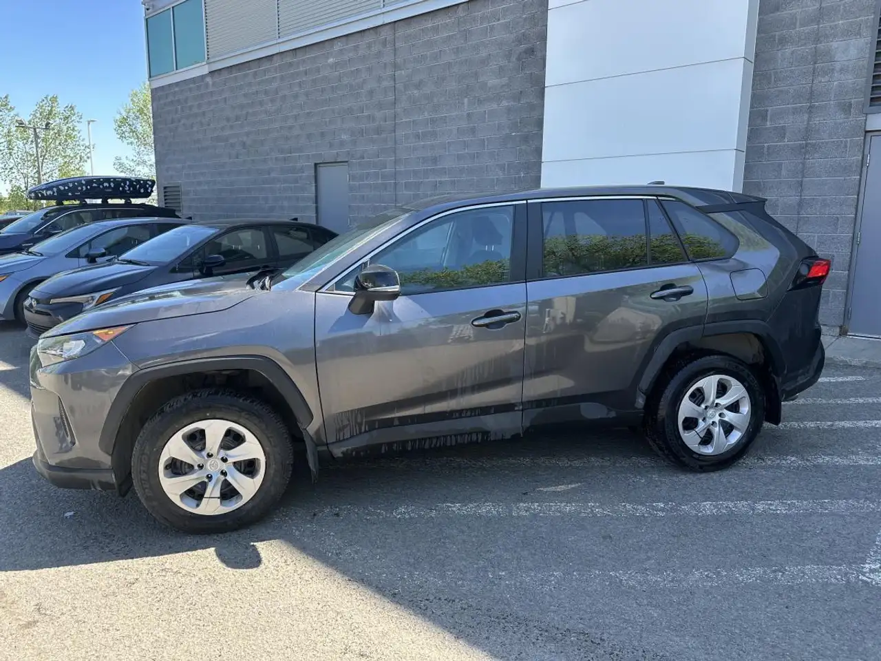 2024 Toyota RAV 4