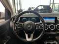 Mercedes-Benz B 250 Progressive LED NAVI PDC&KAM+KLIMA+SITZH++ Weiß - thumbnail 15