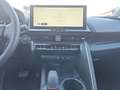 Toyota C-HR Plug-In Hybrid FWD Teamplayer 2.0 EU6e, SHZ, Kamer Bronze - thumbnail 13