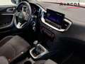 Kia XCeed 1.0 T-GDi Drive Rojo - thumbnail 15