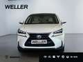 Lexus NX 300h E-FOUR Luxury Line *CAM*Navi*LED*PDC*PANO* Weiß - thumbnail 2