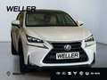 Lexus NX 300h E-FOUR Luxury Line *CAM*Navi*LED*PDC*PANO* Weiß - thumbnail 4