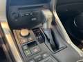 Lexus NX 300h E-FOUR Luxury Line *CAM*Navi*LED*PDC*PANO* Weiß - thumbnail 27