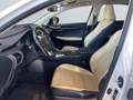 Lexus NX 300h E-FOUR Luxury Line *CAM*Navi*LED*PDC*PANO* Weiß - thumbnail 9