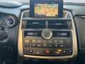 Lexus NX 300h E-FOUR Luxury Line *CAM*Navi*LED*PDC*PANO* Weiß - thumbnail 16