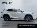Lexus NX 300h E-FOUR Luxury Line *CAM*Navi*LED*PDC*PANO* Weiß - thumbnail 10