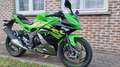 Kawasaki Ninja 125 2020 - 15.000 KM - Racing Green Zielony - thumbnail 2