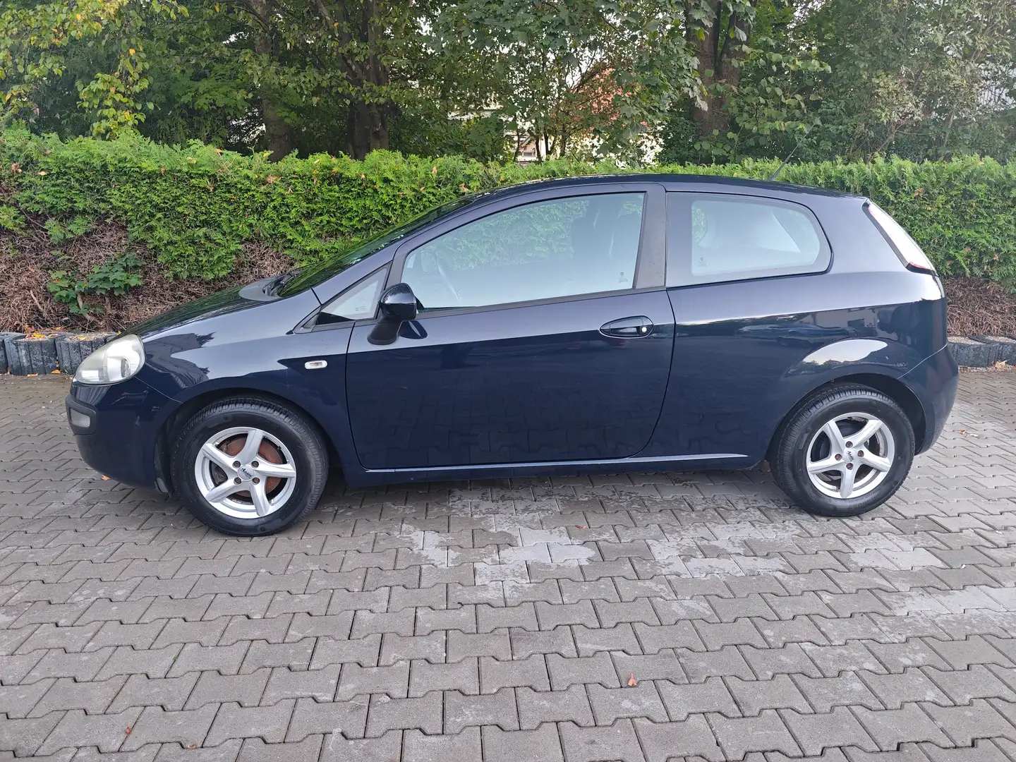 Fiat Punto MyLife Bleu - 2